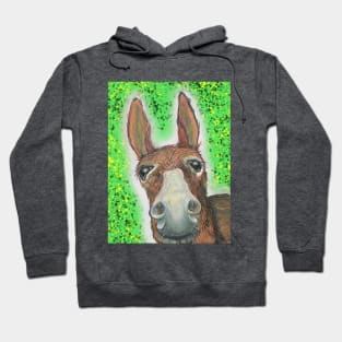 Donkey Hoodie